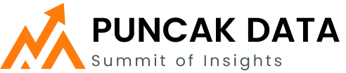 PuncakData Logo